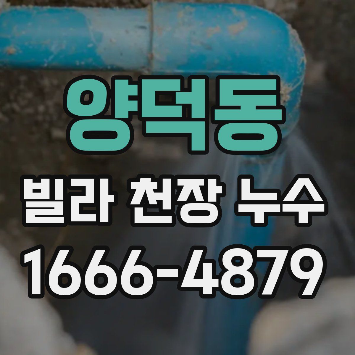 양덕동 빌라 천장 누수