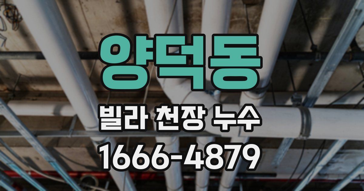 양덕동 빌라 천장 누수