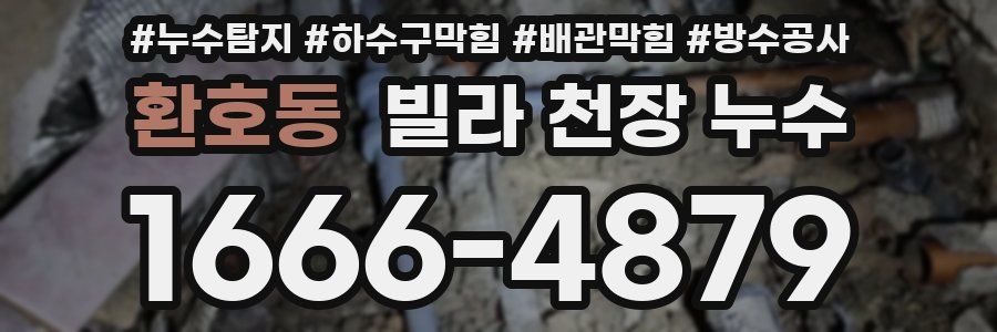 환호동 빌라 천장 누수