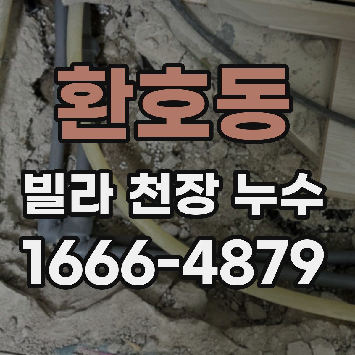 환호동 빌라 천장 누수