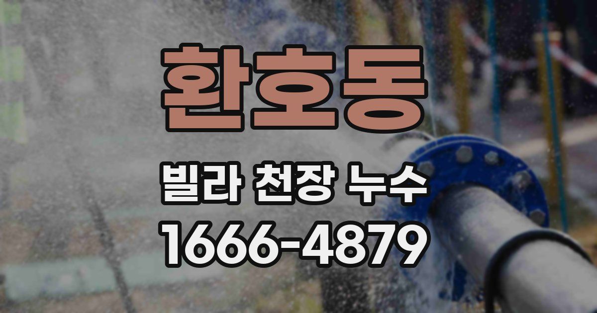 환호동 빌라 천장 누수