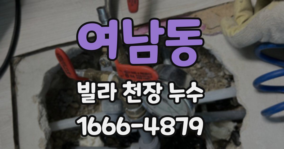 여남동 빌라 천장 누수