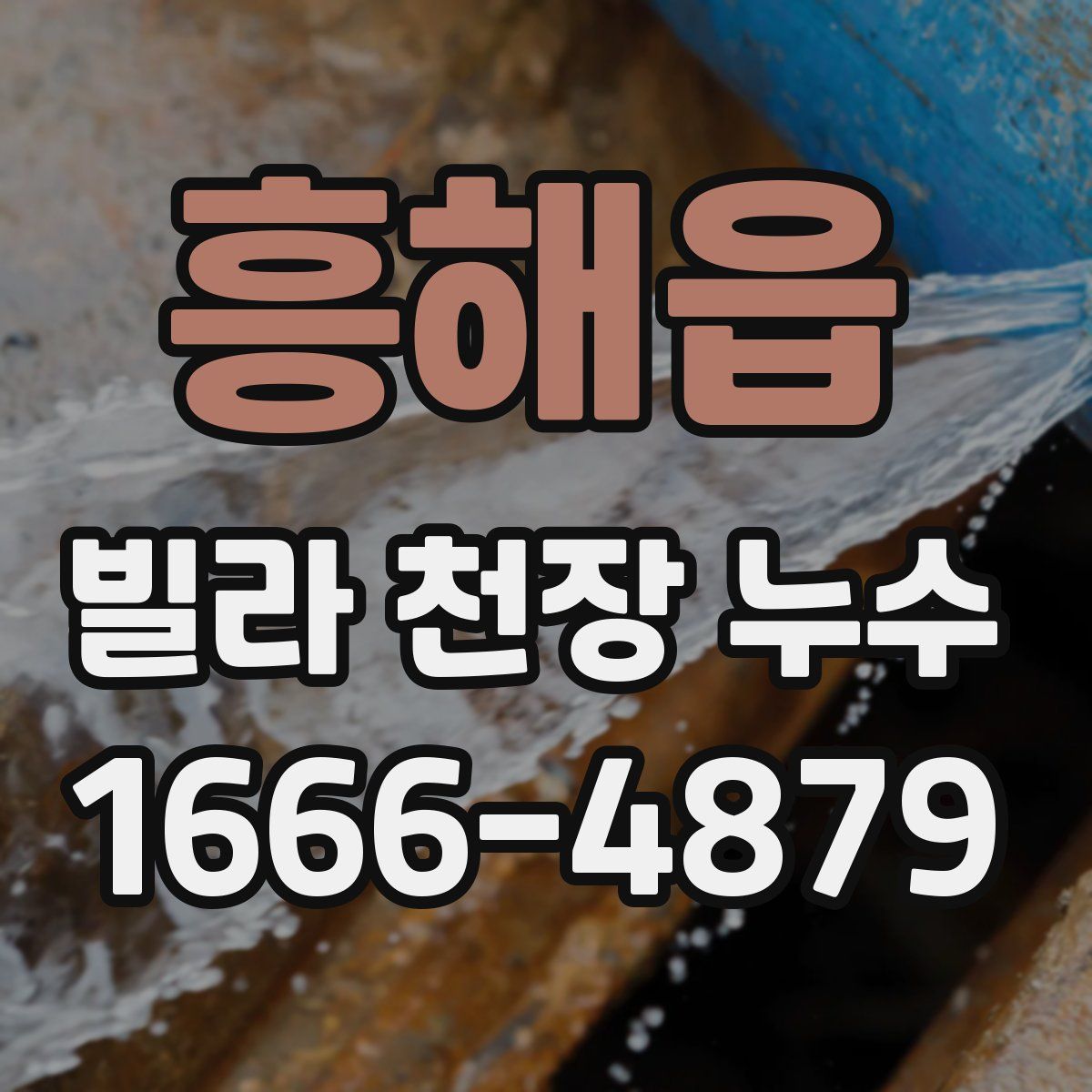흥해읍 빌라 천장 누수