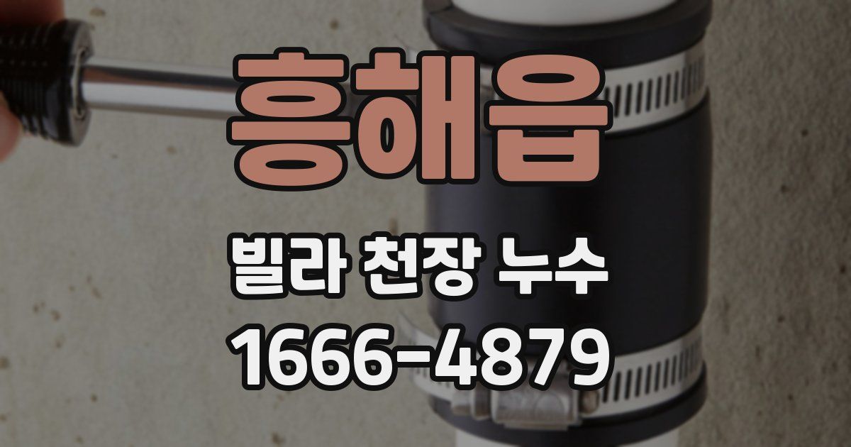 흥해읍 빌라 천장 누수