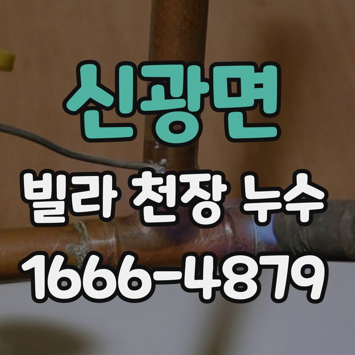 신광면 빌라 천장 누수