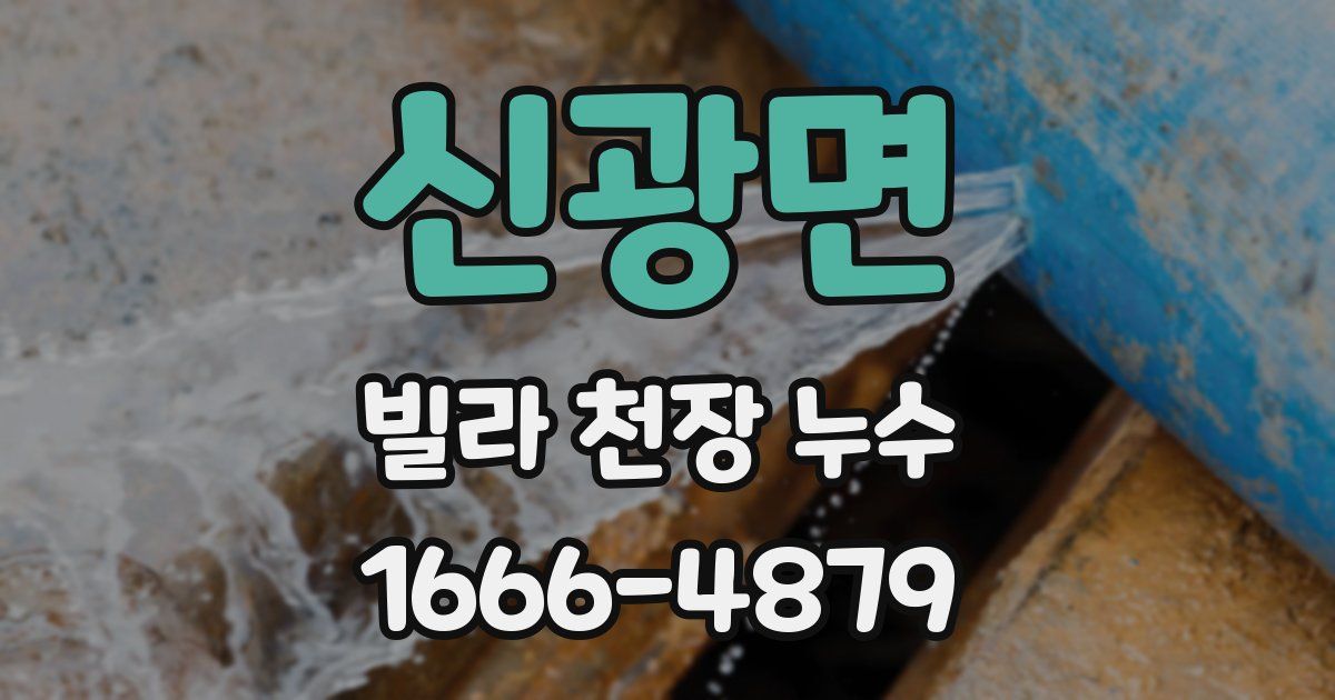 신광면 빌라 천장 누수