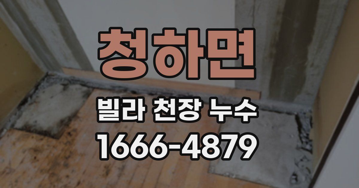 청하면 빌라 천장 누수