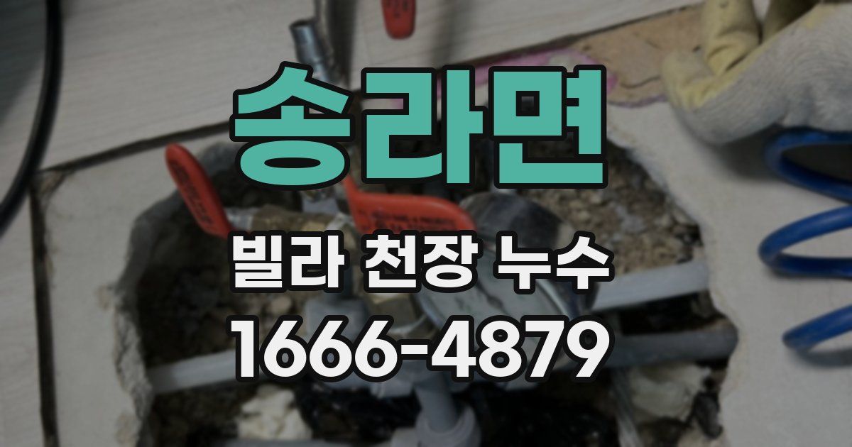 송라면 빌라 천장 누수