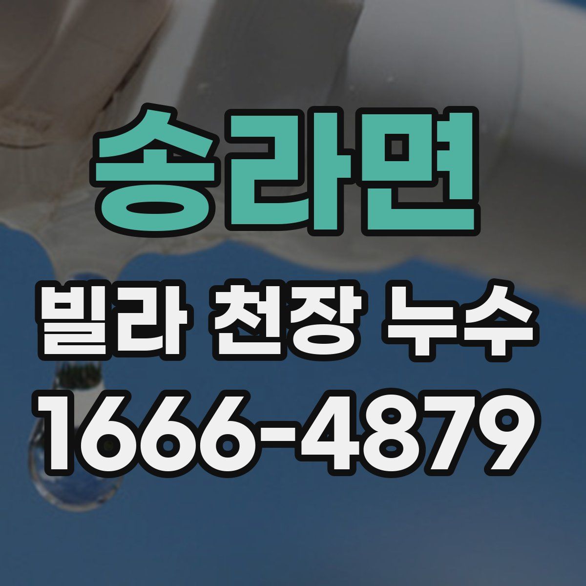 송라면 빌라 천장 누수