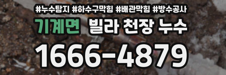기계면 빌라 천장 누수