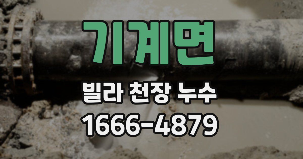 기계면 빌라 천장 누수