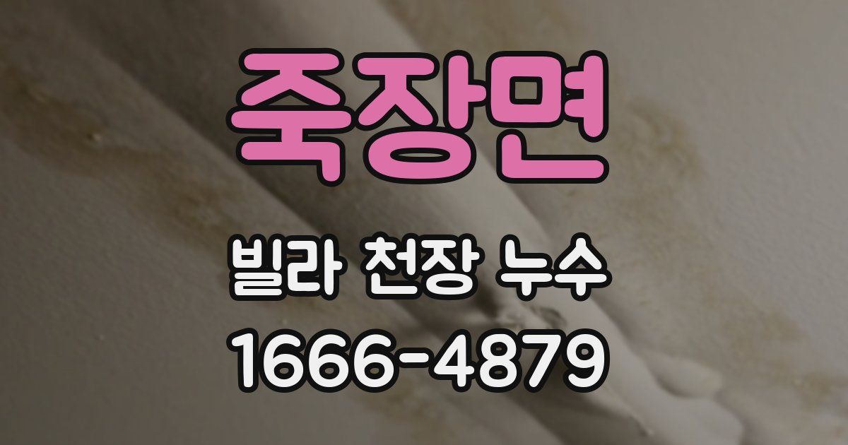 죽장면 빌라 천장 누수