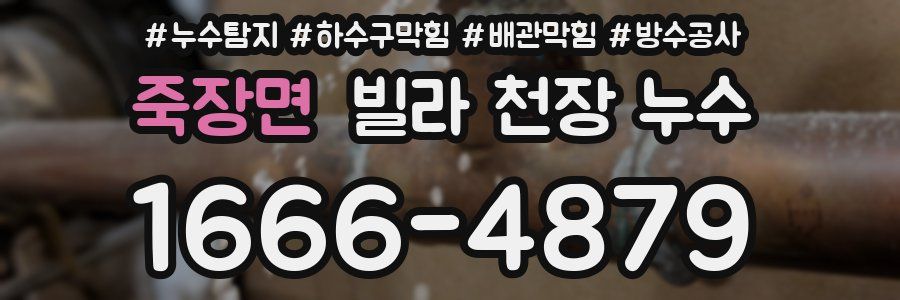 죽장면 빌라 천장 누수