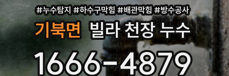 기북면 빌라 천장 누수