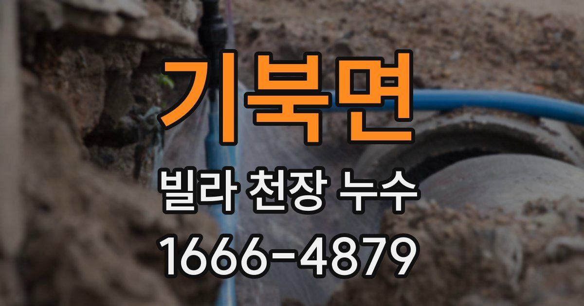 기북면 빌라 천장 누수
