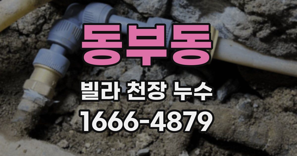 동부동 빌라 천장 누수