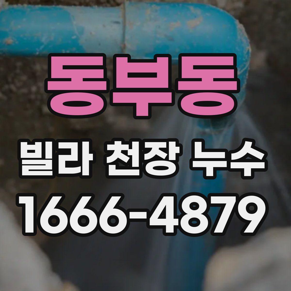 동부동 빌라 천장 누수