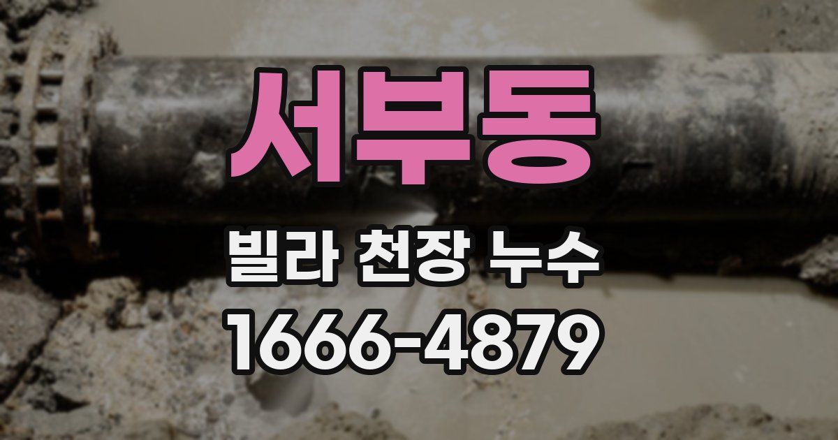 서부동 빌라 천장 누수