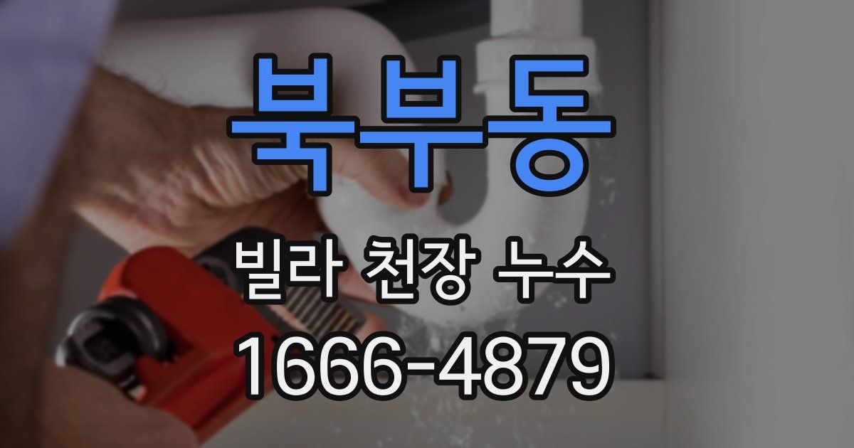 북부동 빌라 천장 누수