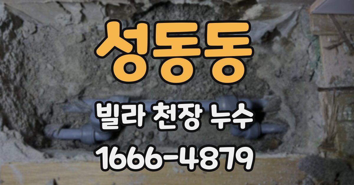 성동동 빌라 천장 누수