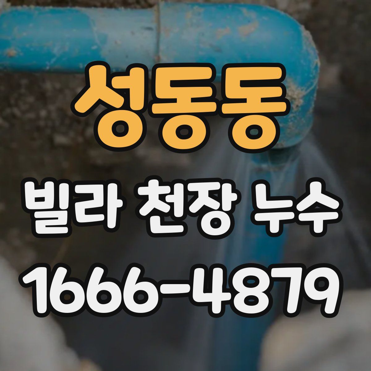 성동동 빌라 천장 누수