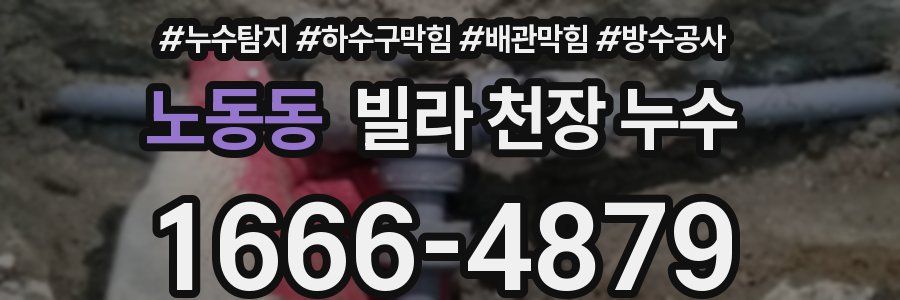 노동동 빌라 천장 누수