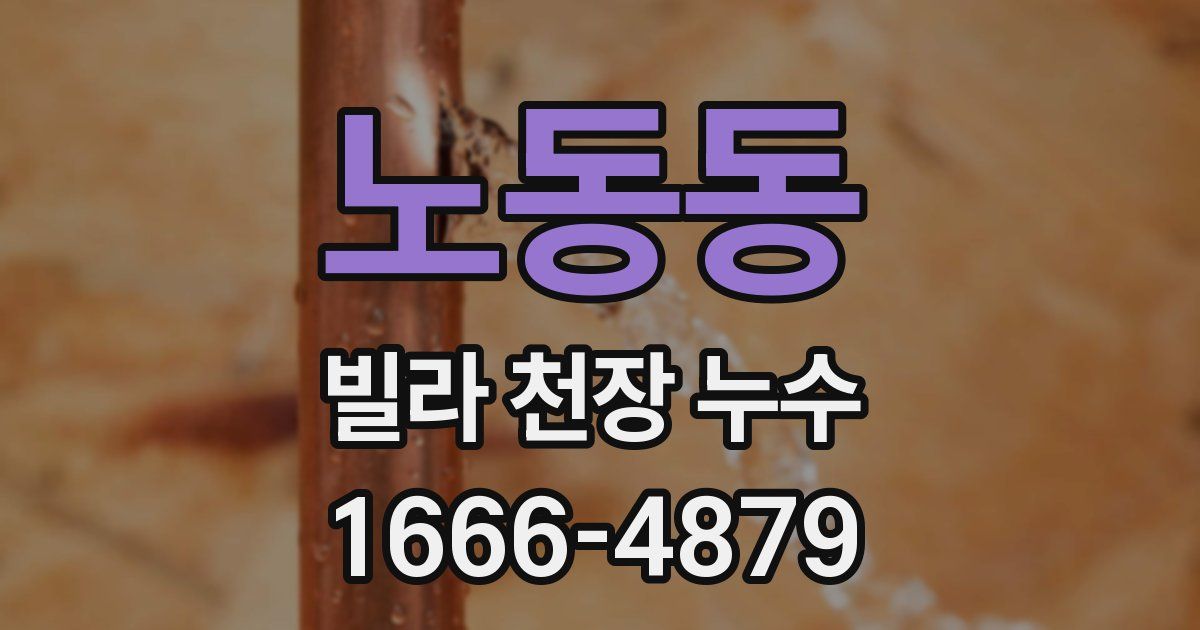 노동동 빌라 천장 누수