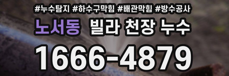 노서동 빌라 천장 누수