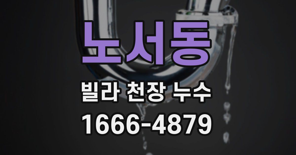 노서동 빌라 천장 누수
