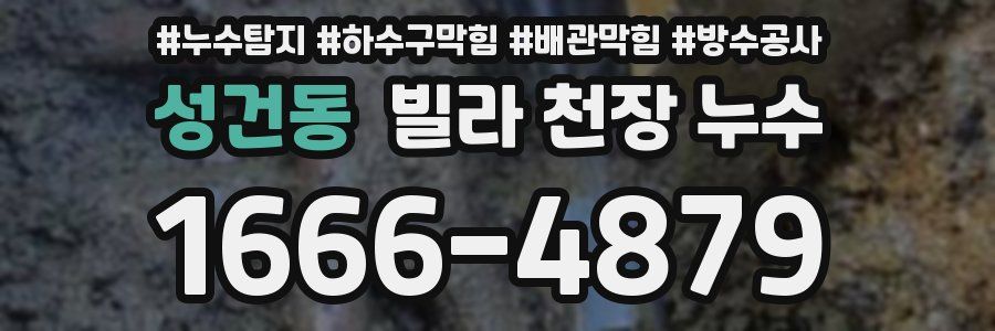 성건동 빌라 천장 누수