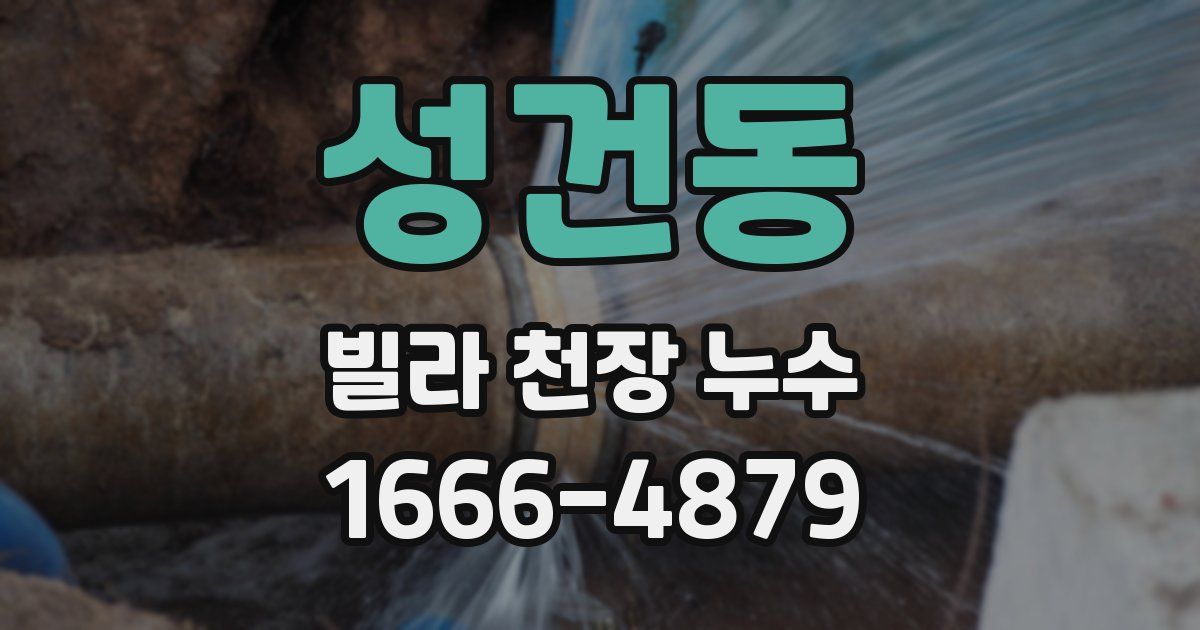 성건동 빌라 천장 누수