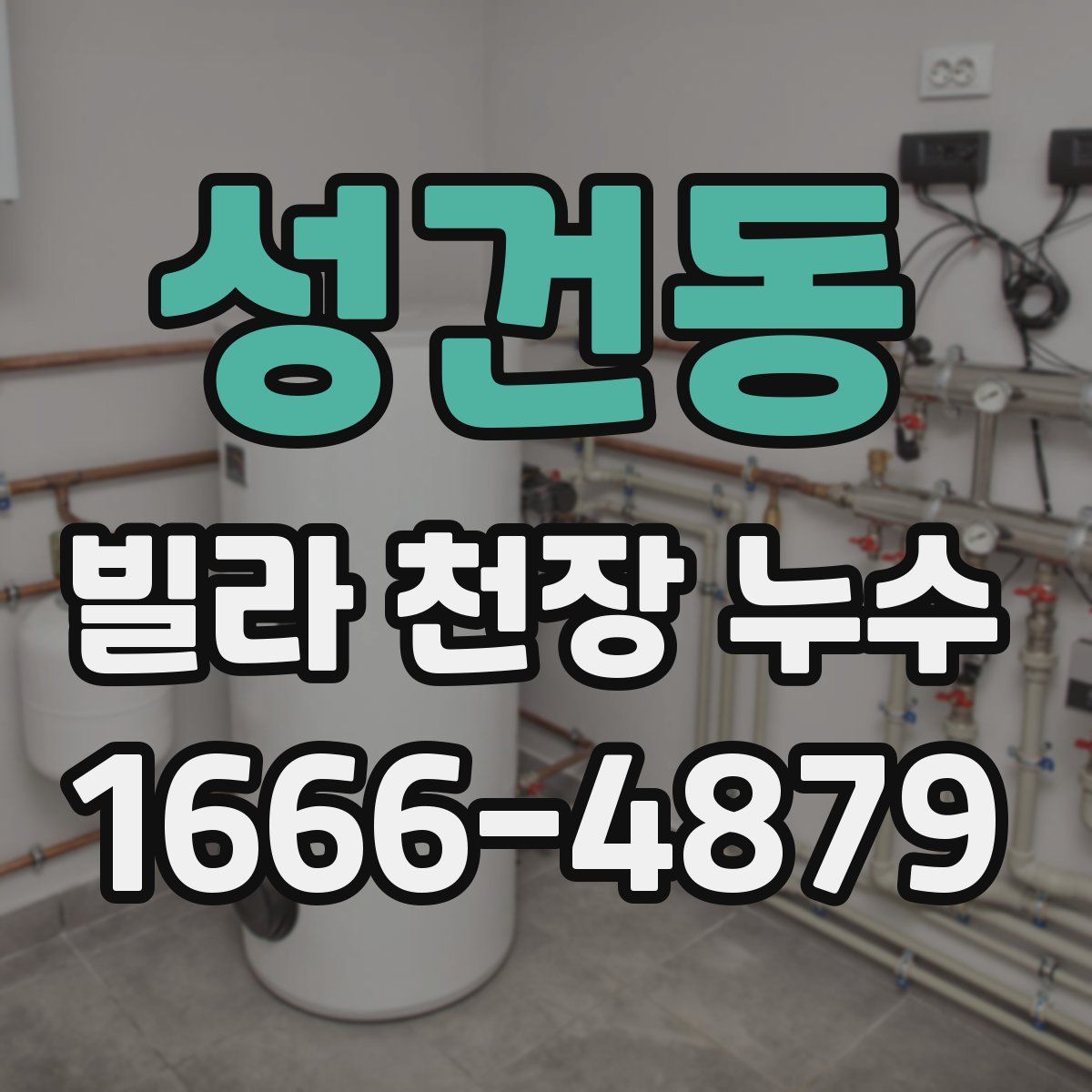 성건동 빌라 천장 누수