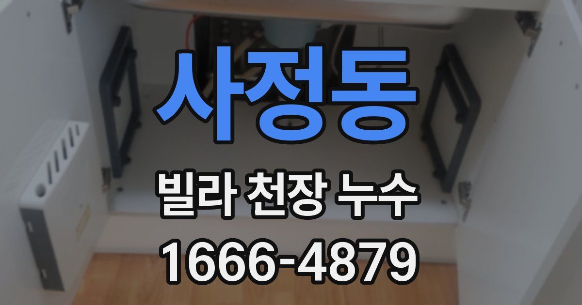 사정동 빌라 천장 누수