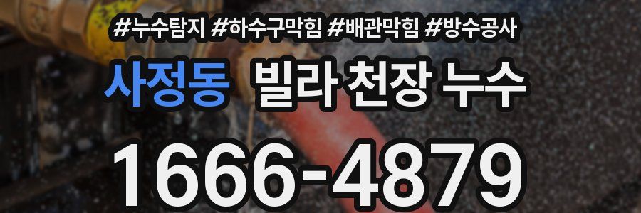 사정동 빌라 천장 누수
