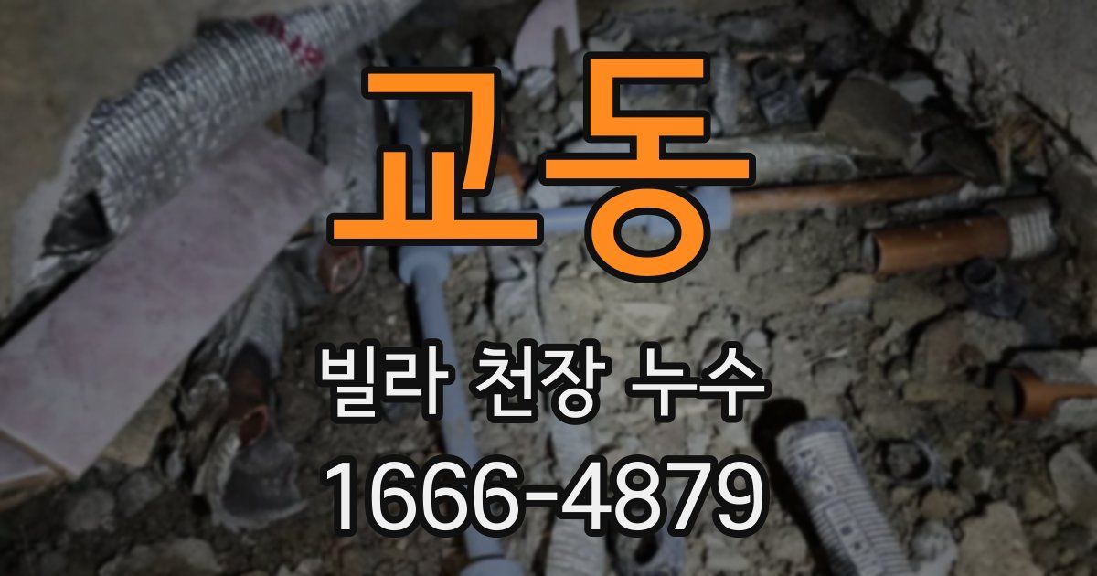 교동 빌라 천장 누수