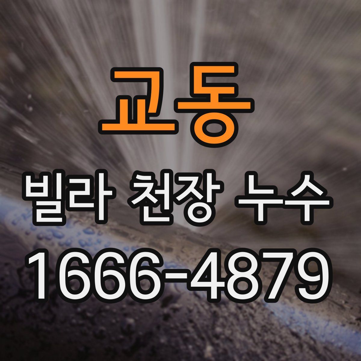 교동 빌라 천장 누수
