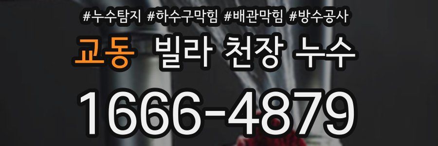 교동 빌라 천장 누수