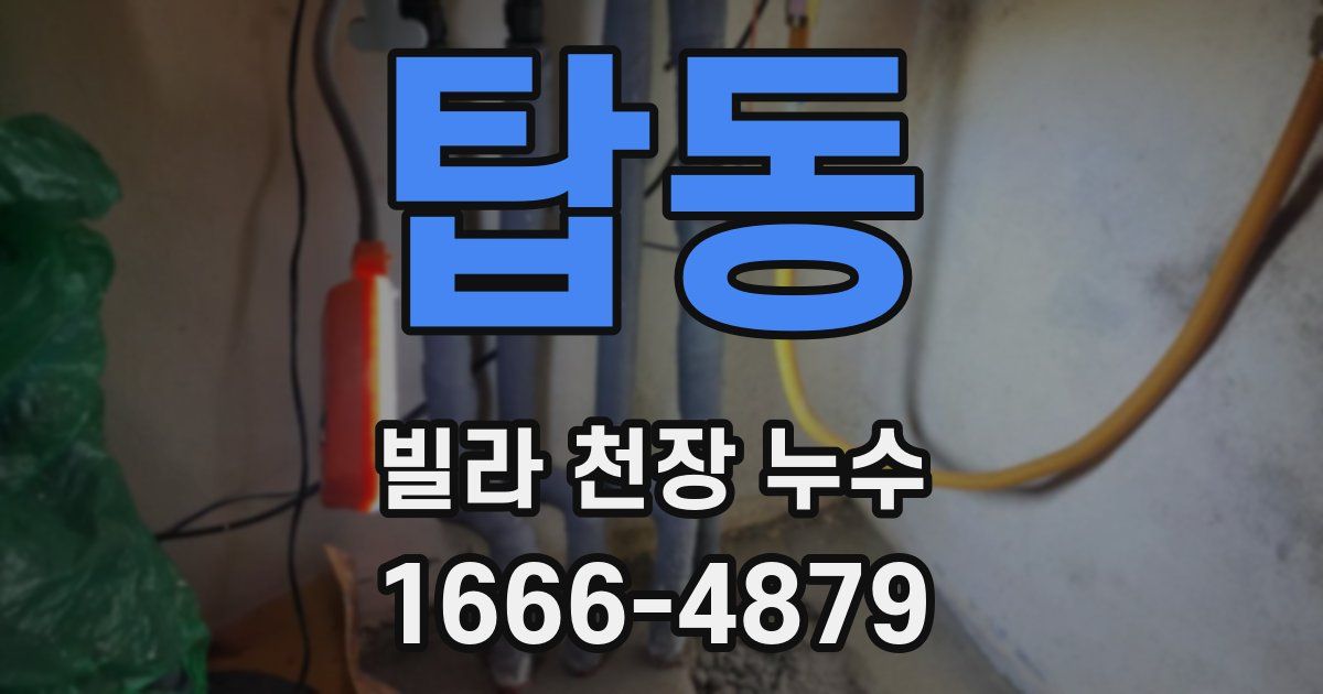 탑동 빌라 천장 누수