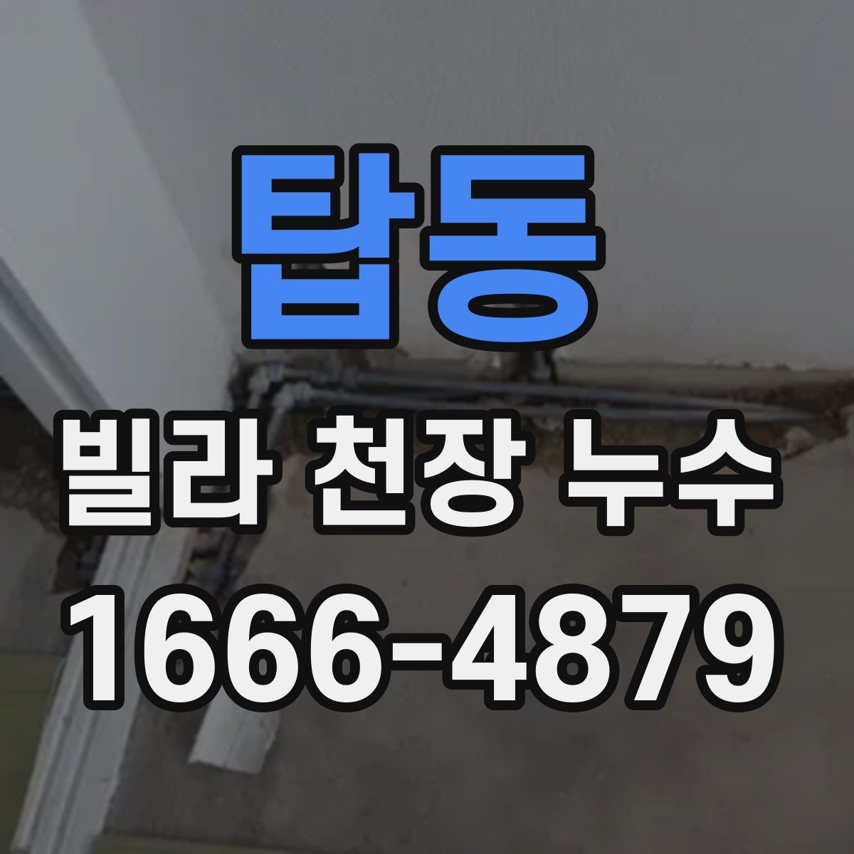 탑동 빌라 천장 누수