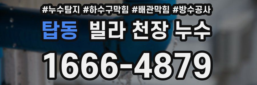 탑동 빌라 천장 누수