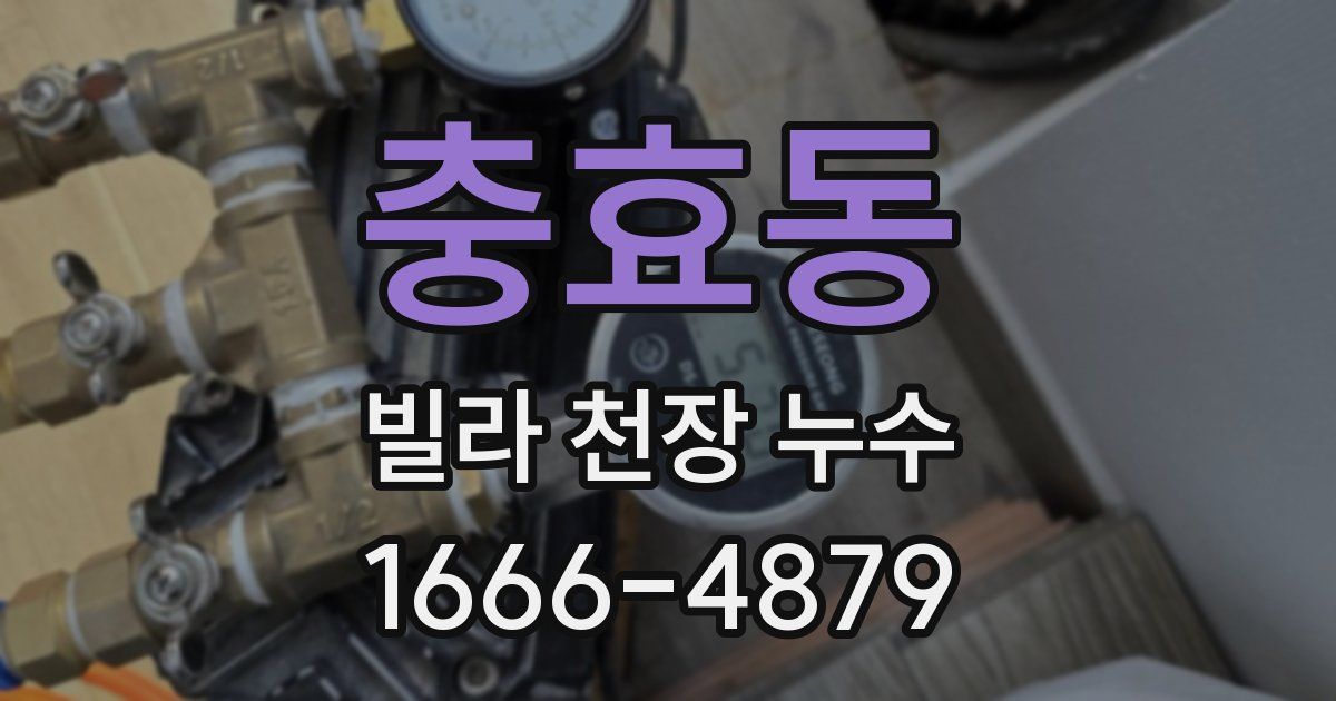 충효동 빌라 천장 누수