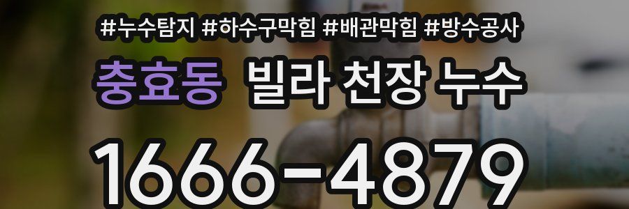 충효동 빌라 천장 누수