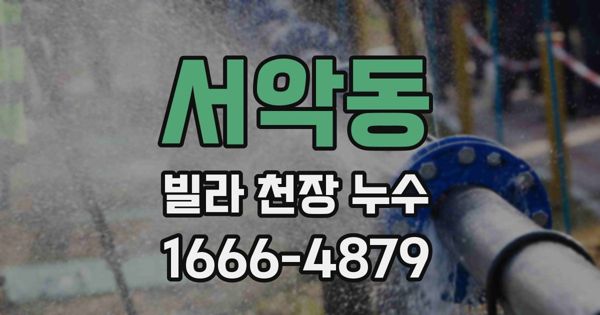 서악동 빌라 천장 누수
