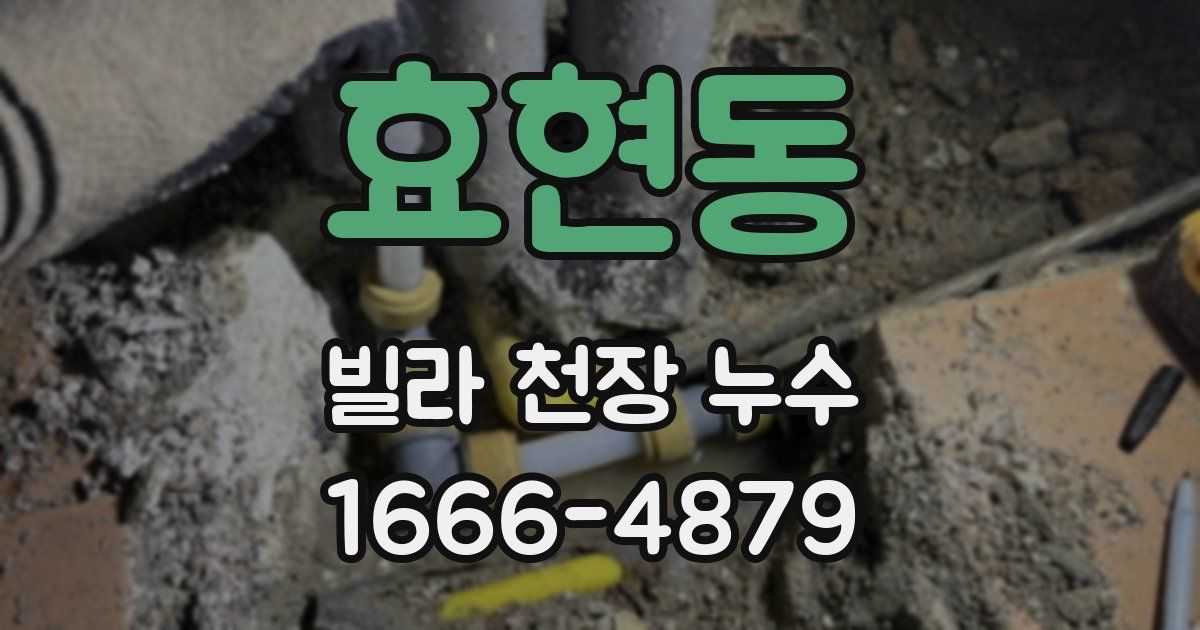 효현동 빌라 천장 누수