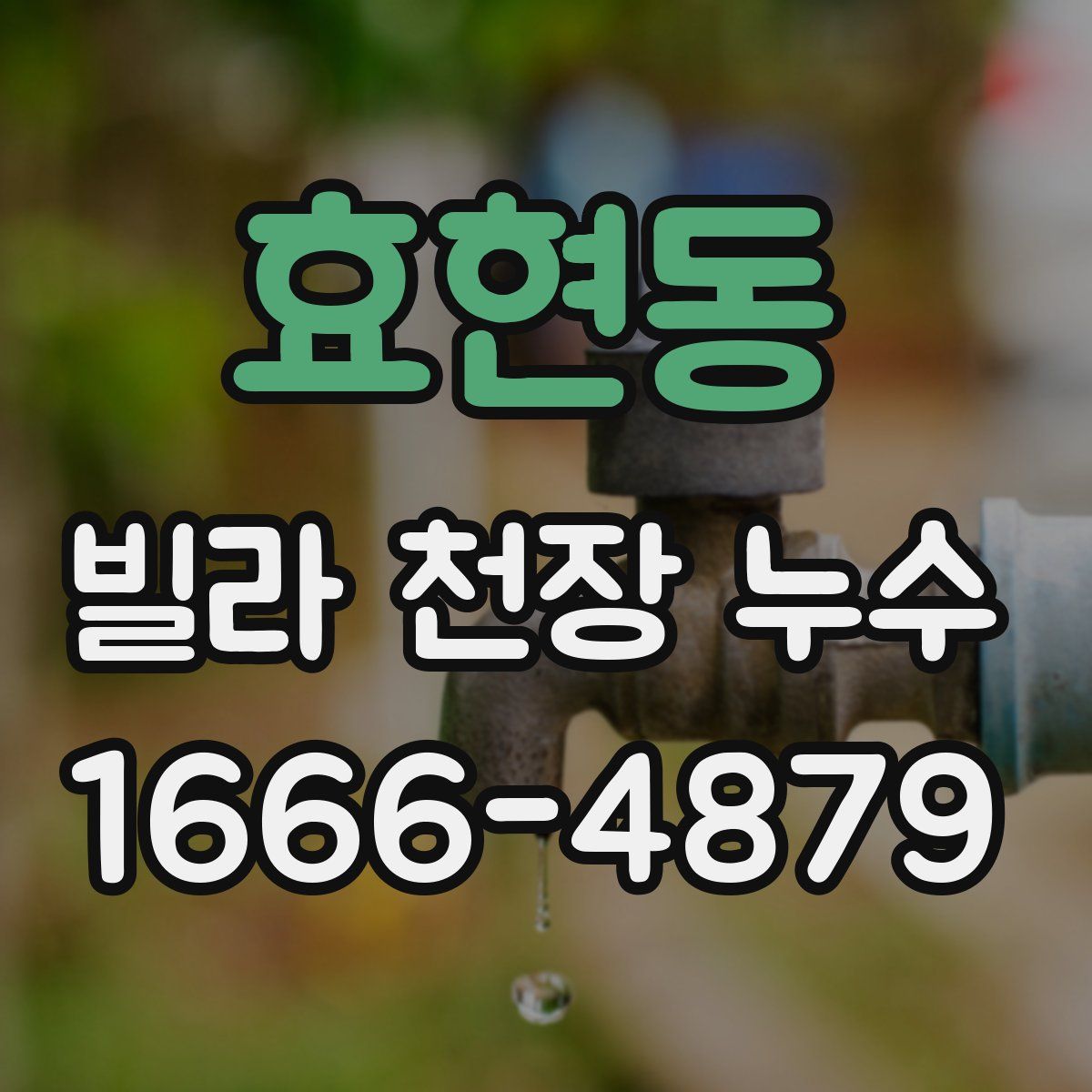 효현동 빌라 천장 누수