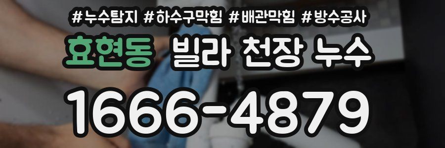 효현동 빌라 천장 누수