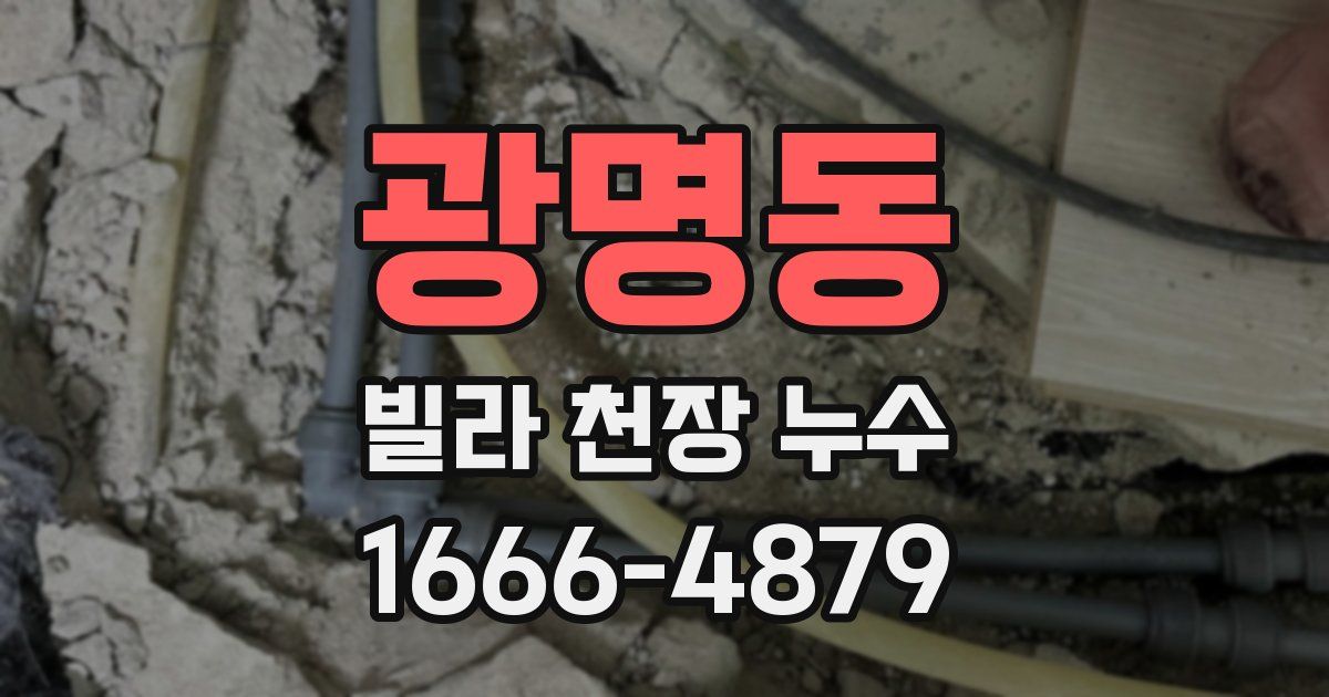 광명동 빌라 천장 누수