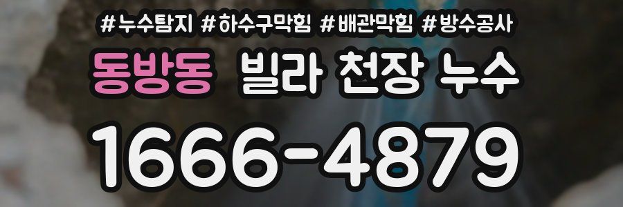 동방동 빌라 천장 누수