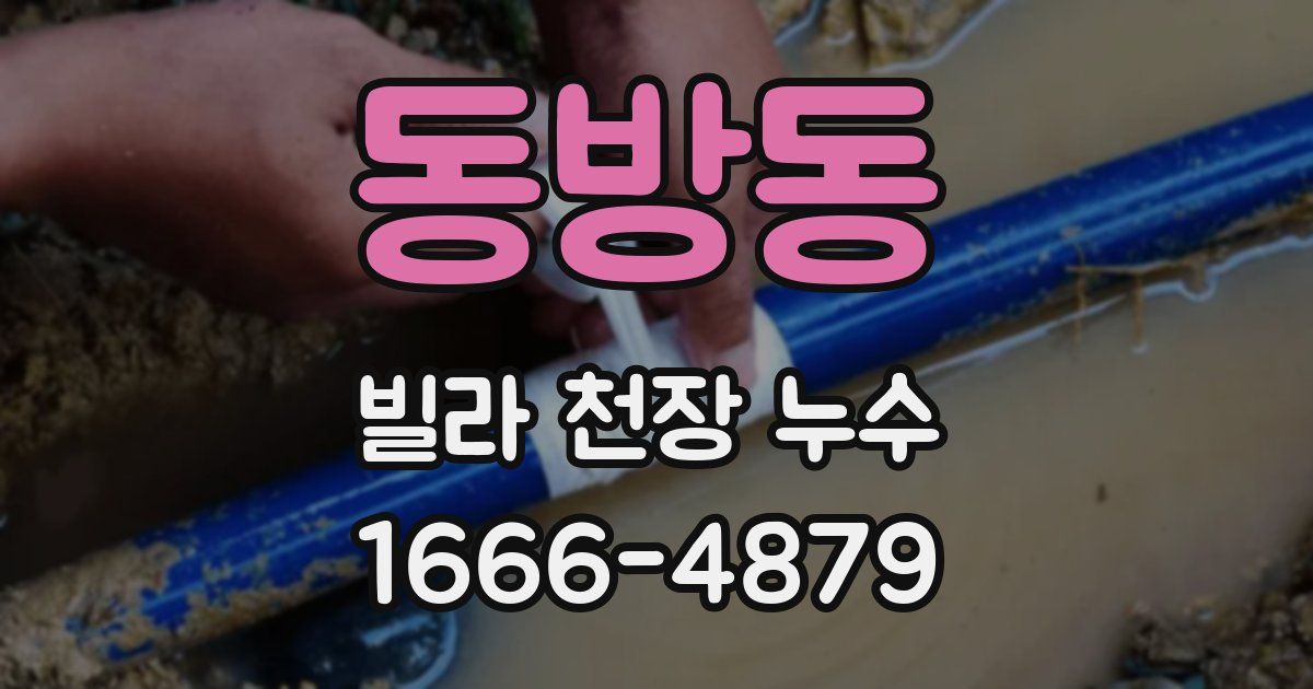 동방동 빌라 천장 누수