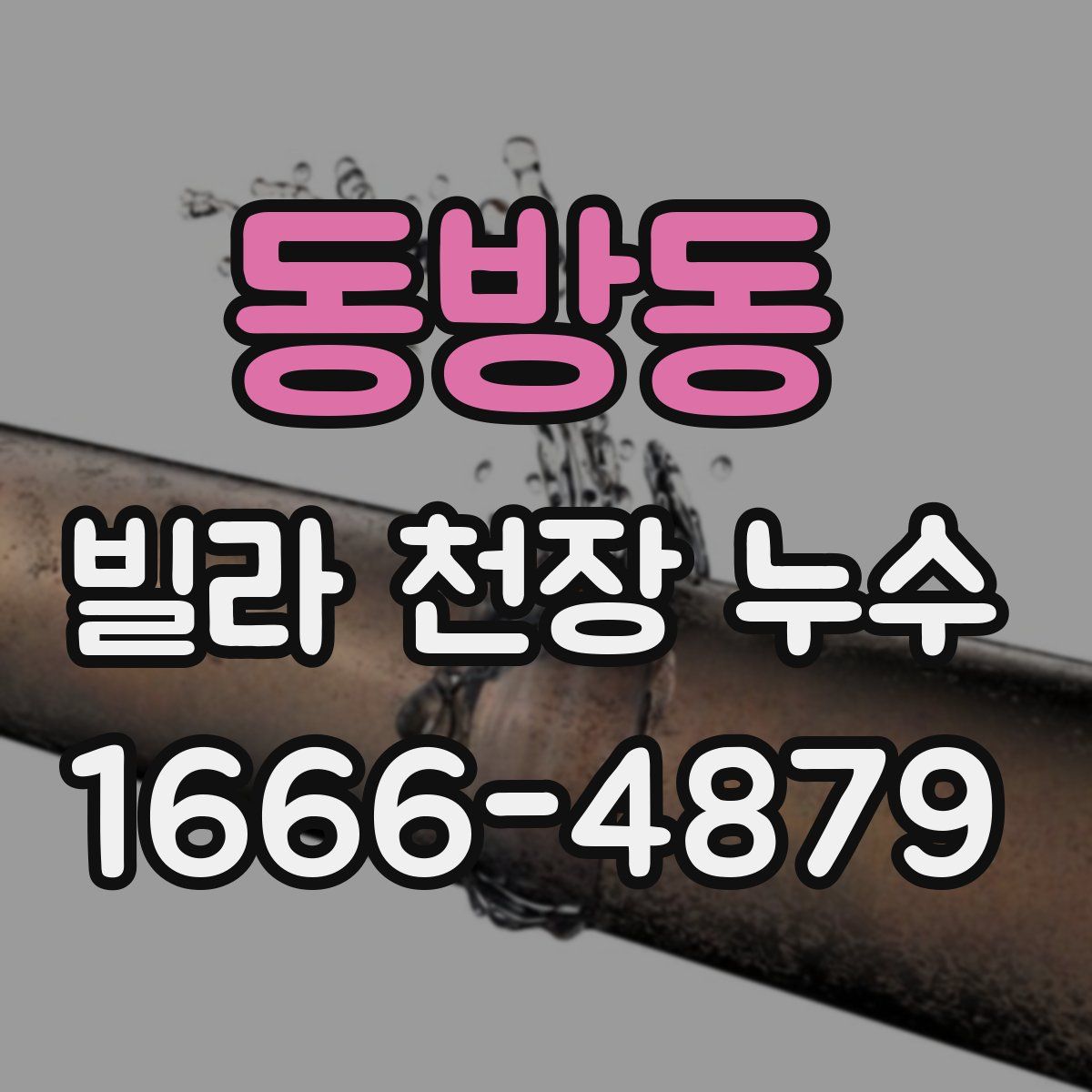 동방동 빌라 천장 누수
